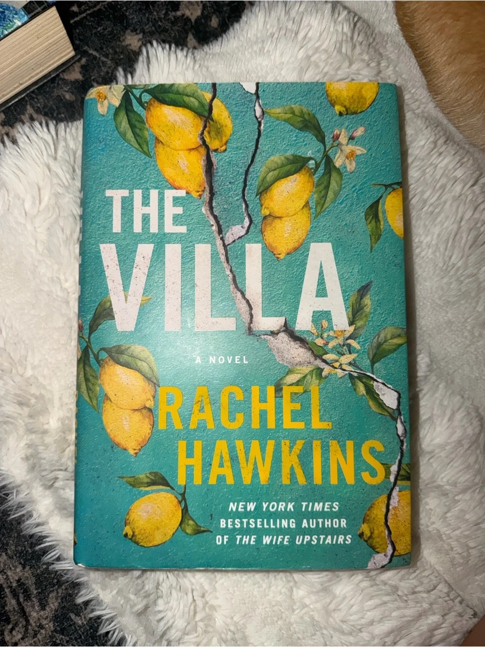The Villa - Rachel Hawkins